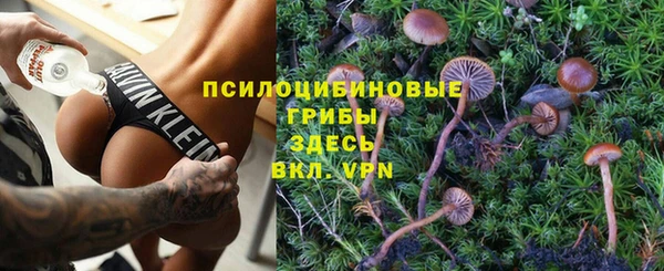 MDMA Premium VHQ Беломорск