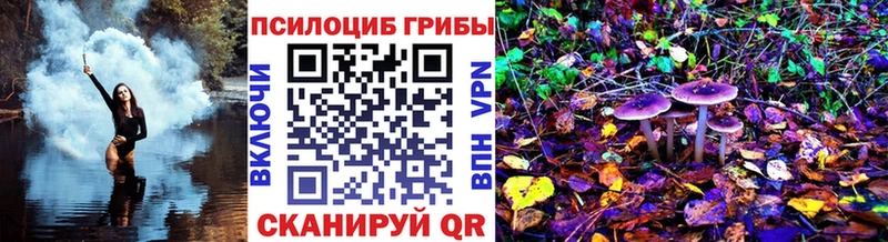 Псилоцибиновые грибы мицелий  Звенигород 